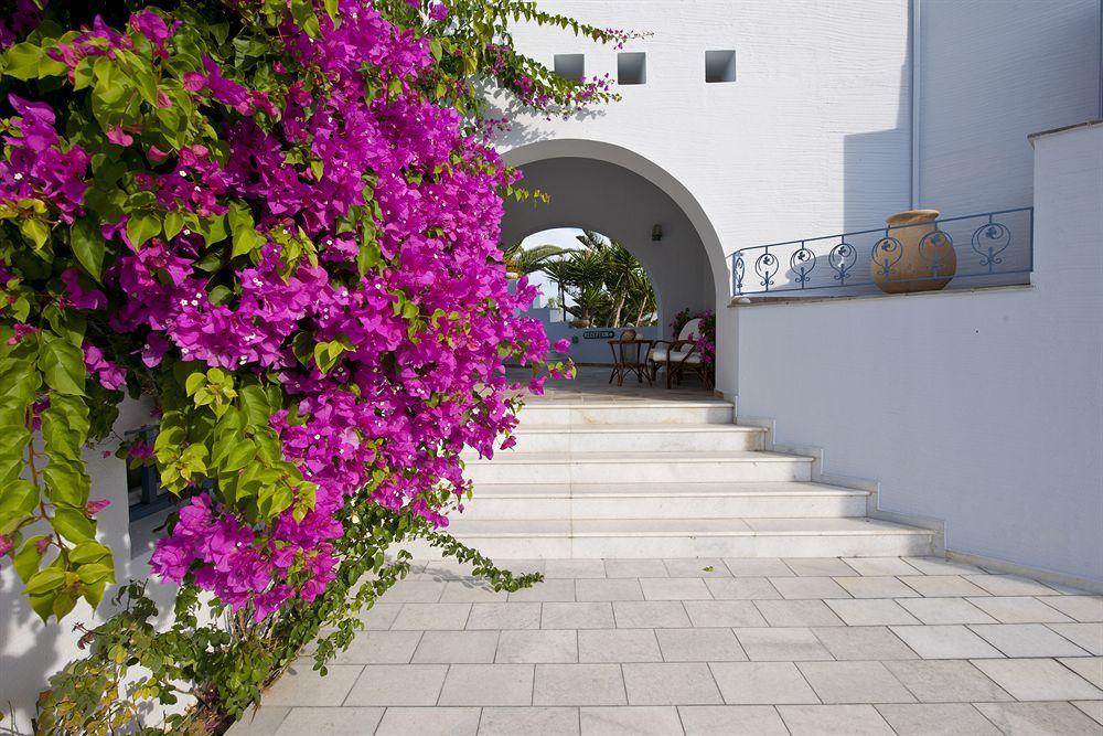 Ammos Naxos Hotel Naxos City Exterior photo